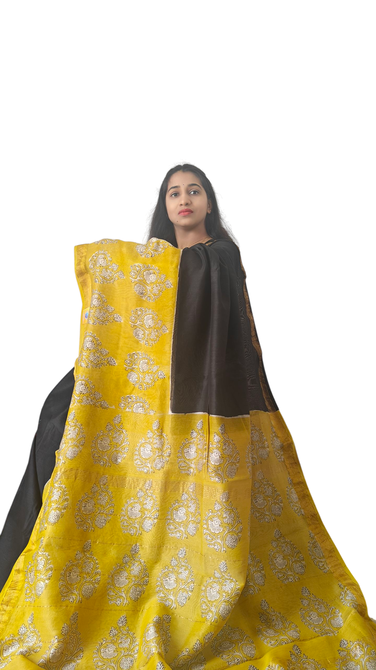Black & yellow Maheshwari silk cotton Saree